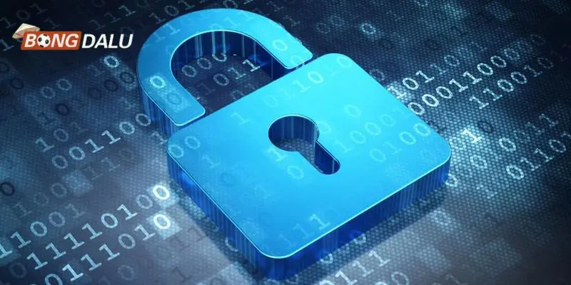 Bảo vệ dữ liệu cá nhân