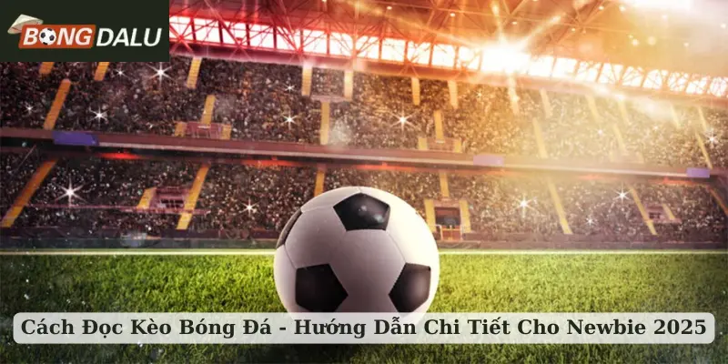 cách đọc kèo bóng đá