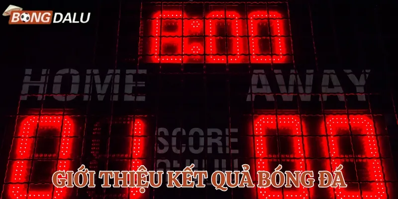 Cập nhật kết quả bóng đá tại Bongdalu nhanh chóng