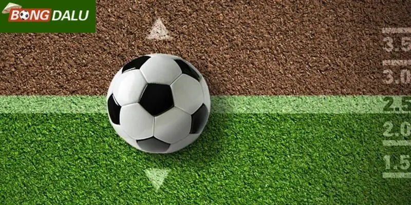 Chiến thuật chơi kèo tài xỉu 2 trái tại Bongdalu