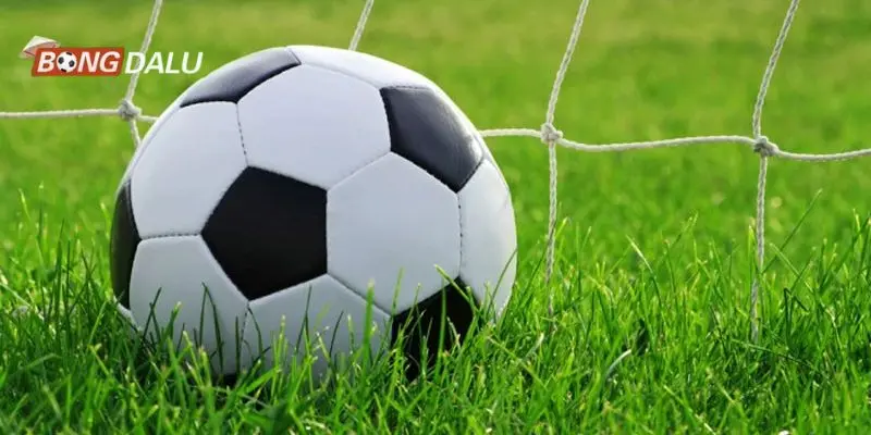 Đôi nét về lịch thi đấu tại Bongdalu