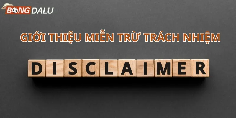 Giới thiệu chung về miễn trừ trách nhiệm tại Bongdalu