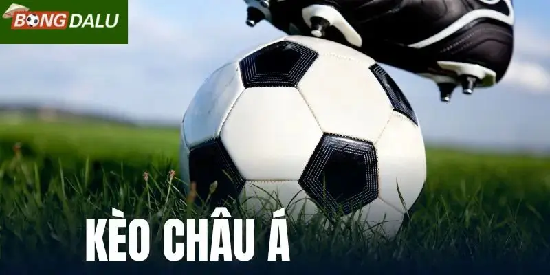 Mẹo chơi kèo bóng đá châu Á từ cao thủ Bongdalu